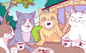 【全力応援コース】共生提案型保護猫カフェらっくら家のポストカードとらっくら家で暮らす猫の写真1枚＋お礼状