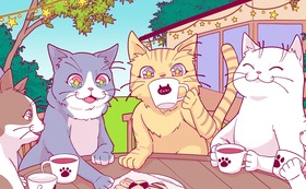 【全力応援コース】共生提案型保護猫カフェらっくら家のポストカード1枚＋らっくら家で暮らす保護猫の写真とお礼状