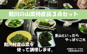 鮭川村の得意分野：山菜三点セット