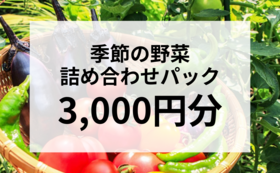 季節の野菜詰め合わせパック | 3000円分