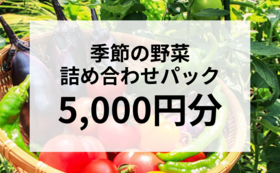 季節の野菜詰め合わせパック | 5000円分