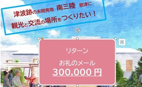 感謝のメール30万円