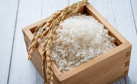 長崎県認定特別栽培米2㎏ + 宮トマト2㎏