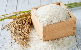 長崎県認定特別栽培米 合計４㎏ + 宮トマト１㎏