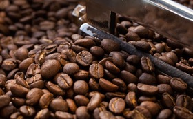 コーヒー豆150g