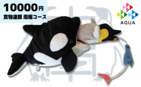 1万円｜ペンギンぬいぐるみ「食物連鎖」コース