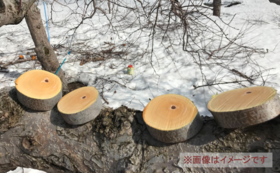【１】特製リンゴの木コースター