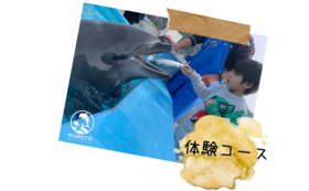 【体験】イルカ餌やり体験・記念撮影