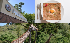 夏の札幌、PMFのピクニックコンサートを楽しんで円山動物園にも行こう！フレンチシェフの金賞ガレットとドリンク付