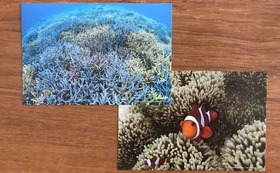 感謝の豊かな八重山のサンゴ礁のポストカード by石西礁湖サンゴ礁基金