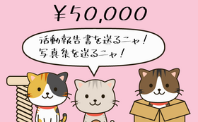 50000円リターン