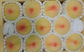 桃（岡山県産　清水白桃)４キロ箱  （１１玉以上）