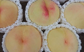 桃（岡山県産　清水白桃）　2キロ箱
