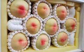 桃（岡山県産　清水白桃）　４キロ箱