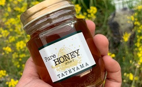 神山養蜂の蜂蜜（1万円）