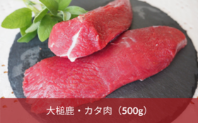大槌鹿・カタ肉(500g)