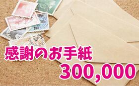 感謝のお手紙300,000円コース