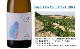 Cage フラッグシップ 白ワイン　【シュナン・ブラン】2021　１本