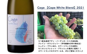 ５周年記念 限定醸造 白ワイン　【Cape White Blend】 2021　