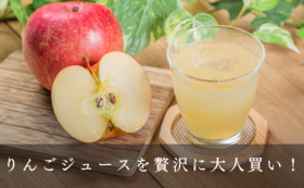 【名産品お届け】天龍峡産りんごジュース1ℓ × 6本 コース