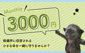 3,000円コース