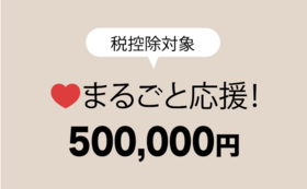 500,000円応援コース