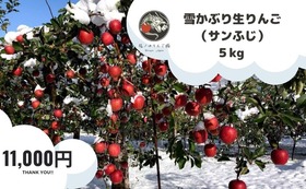 雪かぶり　りんご（サンふじ）５kg セット