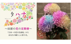 「日本一の花の生産地」からあなたの暮らしに彩りを。「タハナ」応援コースB