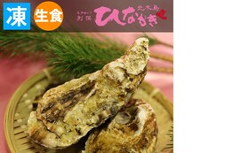 生食用　DENBA +冷凍殻付き牡蠣 ひながき10粒