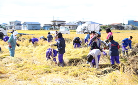 5月の田植え体験会と9月の稲刈り収穫祭への参加権優先ご案内