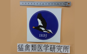 IRBJ限定ステッカー2枚　オオワシロゴマーク（大型バージョン）＆オリジナル字体ステッカー