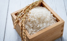 長崎県認定特別栽培米450ｇ