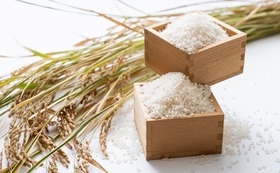 長崎県認定特別栽培米2kg
