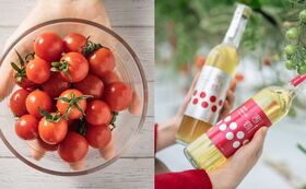 特別栽培ミニトマト「宮トマト」500ｇとワイン酵母仕込み茜鶴ミニトマトのお酒200mlセット