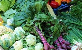 ハッピーロール3キロ＋とれたてピロール野菜の健康セット！
