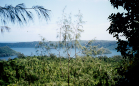 A17c9aaa61e80a1bf71d0d850af4e5baa9800bbd