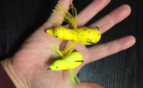 A17c9aaa61e80a1bf71d0d850af4e5baa9800bbd