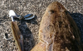 A17c9aaa61e80a1bf71d0d850af4e5baa9800bbd