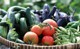 有機野菜のスープ3食分と季節の有機野菜セット