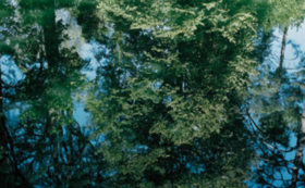 古賀義浩さんの作品＋瀬戸口朗子さんが絵付けを行った有田焼＋木下由貴さんの筑後を撮影した作品