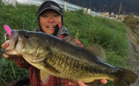 A17c9aaa61e80a1bf71d0d850af4e5baa9800bbd