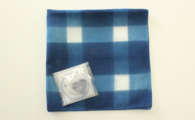 A17c9aaa61e80a1bf71d0d850af4e5baa9800bbd