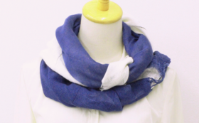 A17c9aaa61e80a1bf71d0d850af4e5baa9800bbd