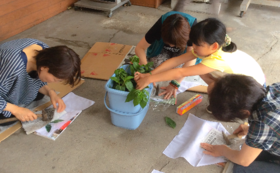 A17c9aaa61e80a1bf71d0d850af4e5baa9800bbd