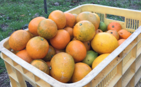 A17c9aaa61e80a1bf71d0d850af4e5baa9800bbd