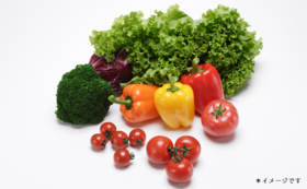 A17c9aaa61e80a1bf71d0d850af4e5baa9800bbd