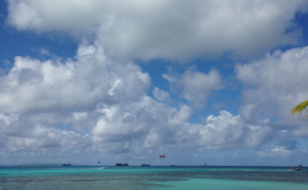 A17c9aaa61e80a1bf71d0d850af4e5baa9800bbd