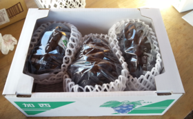 A17c9aaa61e80a1bf71d0d850af4e5baa9800bbd