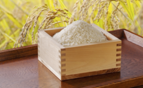 【遠方の方向け】秋田県五城目町の美味しいお米をお届けします！