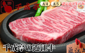 A17c9aaa61e80a1bf71d0d850af4e5baa9800bbd